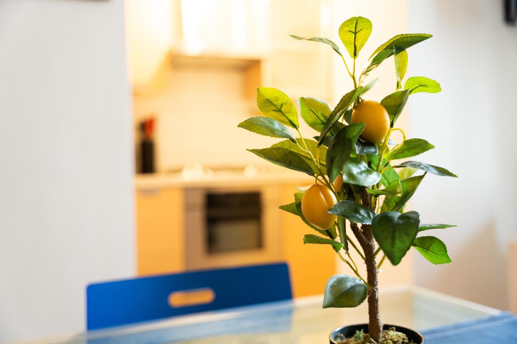 Quiet Flat In Pta Venezia Appartamento Milano